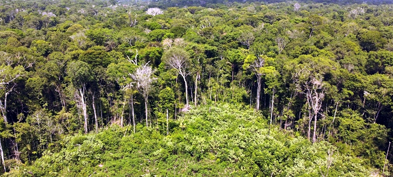 “Um Gol Para Amazônia” – Manaus Airport apoia campanha do Idesam para restaurar áreas desmatadas
