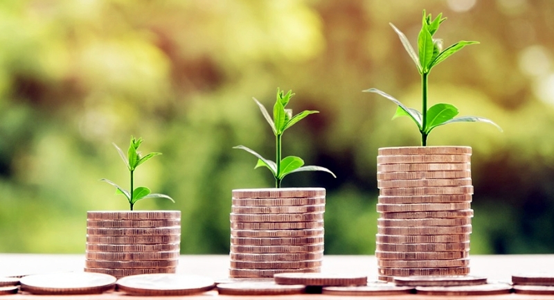 Suframa promove Curso de Patentes e Bioinovação para a região Amazônica