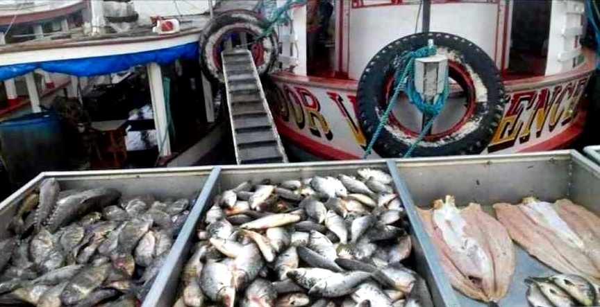 Pesquisa amazonense sobre consumo de peixes é destaque em revista científica internacional