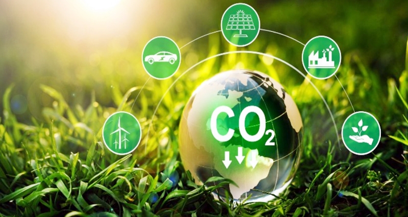 Mercado de carbono e sustentabilidade é tema de seminário no TCE-AM