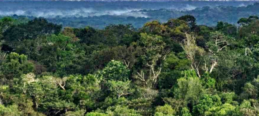 LabVerde finaliza programa de residência ‘Ecologias Especulativas’ com mergulho artístico na Amazônia