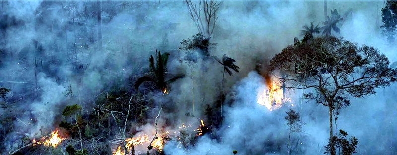 Wilson Lima anuncia redução em focos de calor após reforço de efetivo e ações na região metropolitana de Manaus