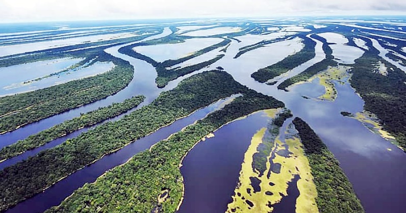 Com apoio do Governo do Amazonas, evento discute impactos causados pelo aquecimento global nos ecossistemas aquáticos 