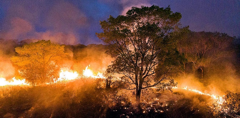 O Brasil arde em chamas