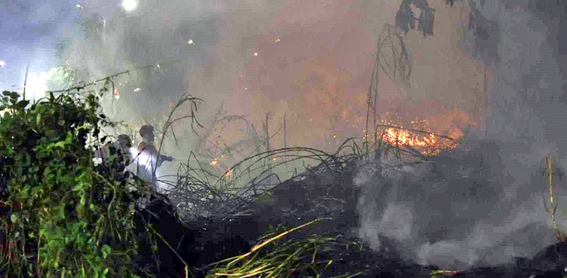 TCE-AM cria comitê para intensificar o enfrentamento às quimadas no Estado