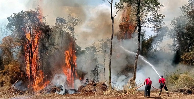 Queimadas, penas mais duras para quem inicia incêndios criminosos