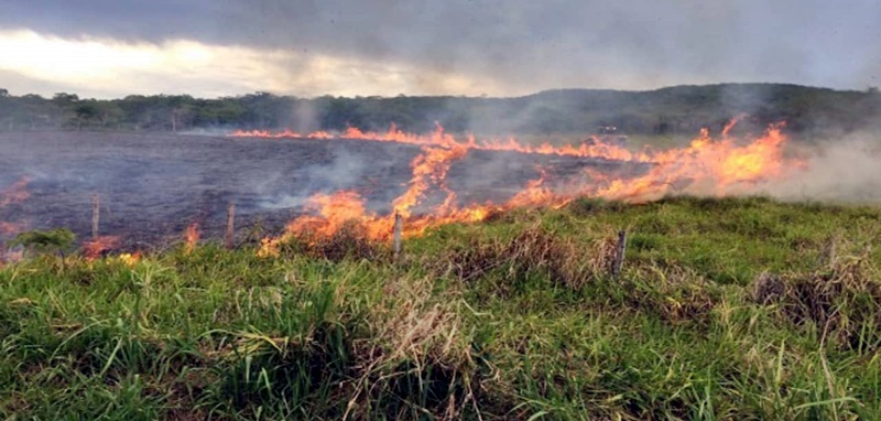 Seminário gratuito com pesquisador Carlos Nobre, referência mundial em mudanças climáticas