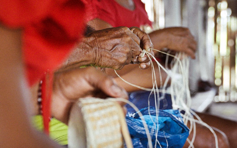 Tucum: o marketplace indígena que transforma arte em renda e floresta em futuro 